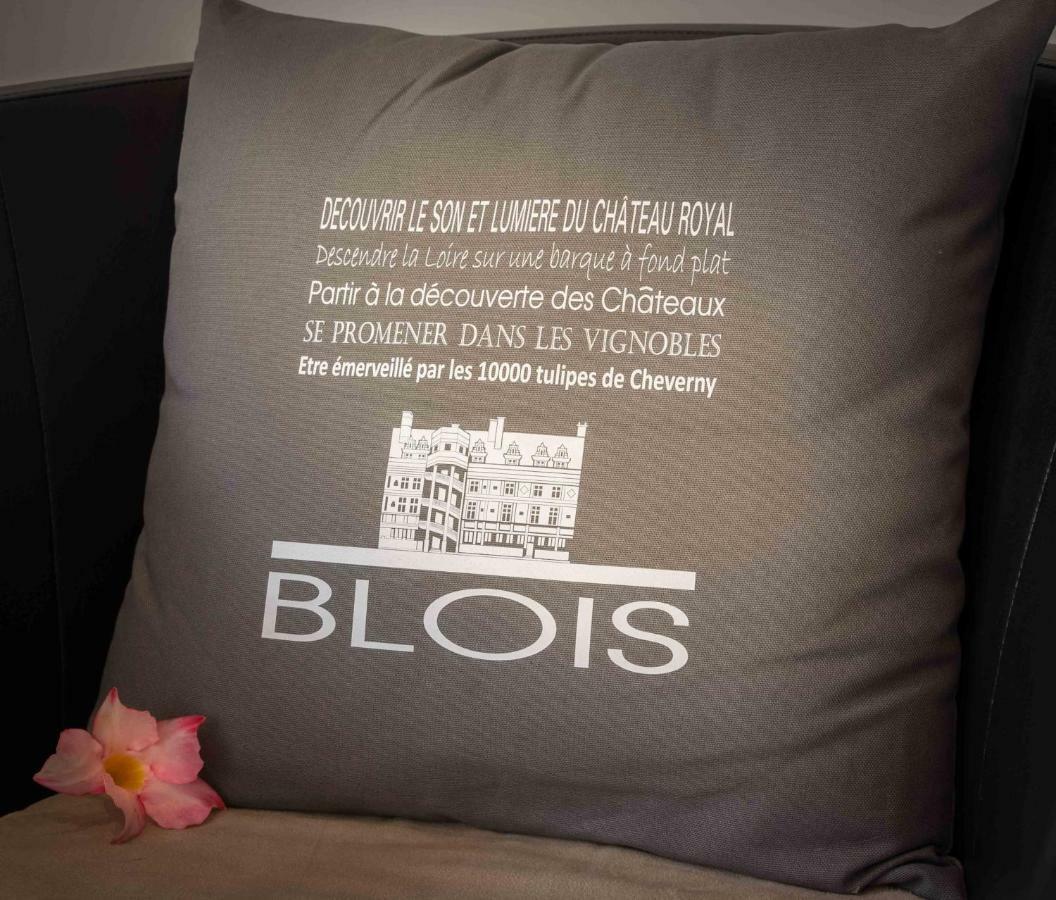 Le Relais Du Petit Lion Apartment Blois Exterior photo